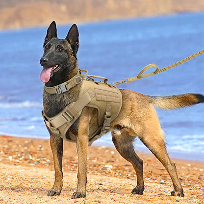 SafeTails K9 Armor