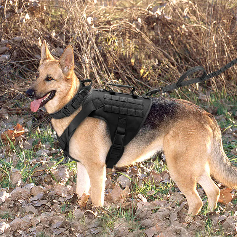 SafeTails K9 Armor